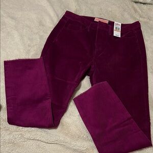 Vibrant Purple Corduroy Pants